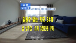일산(덕이동) 펜션같은 지층빌라(실평수 34평)가 이정도라면 어때요 ? - kakaoTV 일산(덕이동) 펜션같은 지층빌라(실평수 34평)가 이정도라면... 