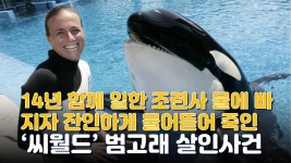 죽인 씨월드 범고래 살인사건 - kakaoTV 14년 함께 손발 맞춘 조련사 풀장 빠지자 잔인하게 물어뜯어 죽인 씨월드 범고래 살인사건