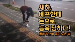 새하, 베프한테 돈으로 능욕당하다- 동네 팟순이 둘이 노는 법 - kakaoTV 새하, 베프한테 돈으로 능욕당하다- 동네 팟순이 둘이 노는 법