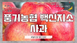 대노코 풍기인삼 앞광고 - 풍기농협 백신지소 - kakaoTV 대노코 풍기인삼 앞광고 - 풍기농협 백신지소