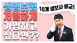 각 보험사별 가성비 좋은 상품 비교!! (괜히 눈탱이 맞지 말고ㅠ) - kakaoTV 각 보험사별 가성비 좋은 상품 비교!! (괜히 눈탱이 맞지 말고ㅠ)