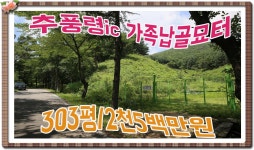 광천리가족납골비석묘지터.김천시봉산면광천리가족납골비석묘터.김천시명당묘지터 - kakaoTV 매물번호:1-36번##경북김천시봉산면광천리가족... 