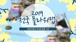 [웨더뉴스] 봄꽃으로 물들여요~ 전국 플라워 맵 공개! - kakaoTV [웨더뉴스] 봄꽃으로 물들여요~ 전국 플라워 맵 공개!