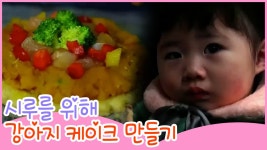 시루를 위한 강아지 케이크 만들기 [땡큐 베이비 독] 11회 - kakaoTV 시루를 위한 강아지 케이크 만들기 [땡큐 베이비 독] 11회