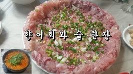 향어회와 술 한잔-진해 석동 땡까리 향어회 맛집 방문 - kakaoTV 향어회와 술 한잔-진해 석동 땡까리 향어회 맛집 방문