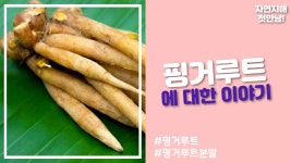핑거루트에 대한 이야기 - kakaoTV 핑거루트에 대한 이야기