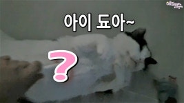 요즘 수촌이 최애템!!! - kakaoTV 요즘 수촌이 최애템!!!