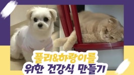 풀리&하랑이를 위한 건강식 만들기 [오 마이 펫 시즌2] 9회 - kakaoTV 풀리&하랑이를 위한 건강식 만들기 [오 마이 펫 시즌2] 9회