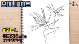 [보태니컬아트] #21-1. 극락조화 그리기 (꽃드로잉 - 꽃그림 기초강좌) 연필전사과정 - kakaoTV [보태니컬아트] #21-1. 극락조화 그리기... 