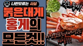 홍게의 모든것!, 싸고 맛있는 붉은대게 (홍게의 효능과 부작용, 대게 손질법, 홍게 구입요령, 보관법) - kakaoTV  홍게의 모든것!, 싸고 맛있는... 