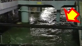 서울 중랑천 CCTV 영상 강수량 한강홍수통제소 호우경보 이어... 한강홍수통제소 호우경보 이어 홍수주의보 발령 ＂지역 주민 안전 유의＂