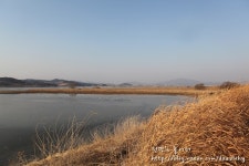 [주남저수지/창원여행] 겨울철새 만나러 주남 저수지로.