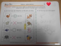 [한국영재교육원]생각키우기 7세용 1주차를 본격적으로 시작해보다./창의.과학.수학.미술.언어