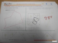 [한국영재교육원]생각키우기 7세용 1주차를 본격적으로 시작해보다./창의.과학.수학.미술.언어