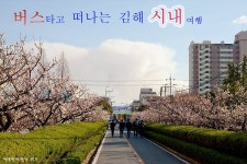 버스타고 떠나는 김해시내여행_여수엑스포여행 추천코스