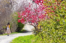 꿈꾸는 산책로...진해 드림로드를 걷다.