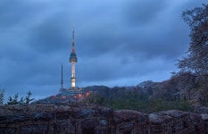 봄비내리는 남산