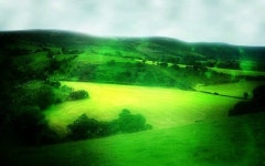 ~ 내 마음이 하늘에 닿을 수 있도록 ~ 샤일롯,,,