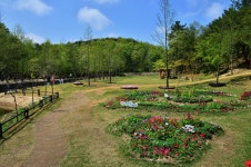 바람꽃마을에 부는 자생꽃 향연, 속초 설악산자생식물원 - kakaoTV 바람꽃마을에 부는 자생꽃 향연, 속초 설악산자생식물원