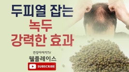 녹두 효능 - kakaoTV 녹두 효능