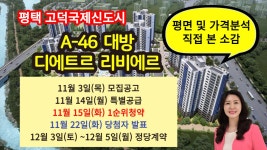 평택 고덕 A-46 디에트르 리비에르 1순위청약 11월 15일~ 청약전에 꼭 알아야 것!! - kakaoTV 평택 고덕 A-46 디에트르 리비에르  1순위청약... 