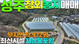 성주군선남면도흥리참외농지매매#성주군선남면도흥리참외 - kakaoTV... 성주군선남면도흥리참외농지매매#성주군선남면도흥리참외