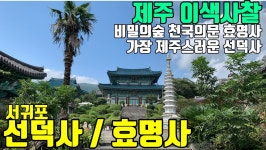 제주 선덕사 / 효명사 / 제주 이색사찰 2번째 / / 이야기가 있는 사찰탐방 제50화 - kakaoTV 제주 선덕사 / 효명사 / 제주 이색사찰 2번째... 