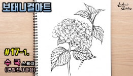 수국 그리기 (꽃드로잉 - 꽃그림 기초강좌) 연필전사과정 - kakaoTV [보태니컬아트] #17-1. 수국 그리기 (꽃드로잉 - 꽃그림 기초강좌)... 