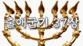 출애굽기 37장 / 개역한글 / 등대에서 나온 여섯 가지를 위하여는 꽃받침이 있게 하였으되 두 가지 아래 한 - kakaoTV 출애굽기 37장 / 개역한글... 