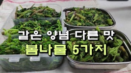 같은 양념 다른 맛, 시골에서 수확해 온 봄나물 5가지 - kakaoTV 같은 양념 다른 맛, 시골에서 수확해 온 봄나물 5가지