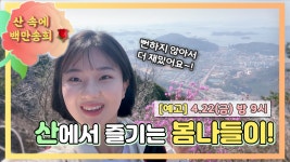 뻔하지 않은 봄나들이 명소 여항산과 장복산! 산 속에 백만송희[4/22 금요일 밤 9시] - kakaoTV 뻔하지 않은 봄나들이 명소 여항산과 장복산!... 