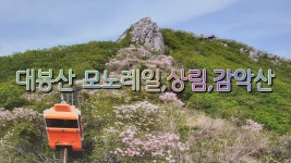 남매들의 5월 나들이-대봉산 휴양밸리,상림,거창 감악산 - kakaoTV 남매들의 5월 나들이-대봉산 휴양밸리,상림,거창 감악산