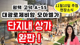 평택부동산,평택고덕신도시부동산,평택고덕신도시,평택공인중개사,평택고덕아파트,아파트투자,평택토지,평택고덕삼성,부 - kakaoTV 평택부동산... 