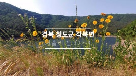 각북면 지슬1리(지슬쉼터) 마을체육시설 | 경북 청도 각북면 지슬리 지슬지 영상 입니다. - kakaoTV 경북 청도 각북면 지슬리 지슬지 영상 입니다.