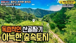 매물382 홍천 독립적인 산골짜기 아늑한 숲속 토지 310평 7800만원 - kakaoTV 매물382 홍천 독립적인 산골짜기 아늑한 숲속 토지 310평... 