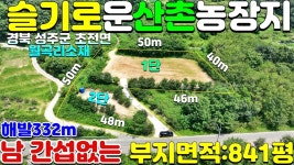 NO:1-1119번#성주군땅#성주땅#성주군부동산#성주부동산#성주군초전면월곡리귀촌주택용지#성주군주말농장부지매매 - kakaoTV NO:1-1119번... 