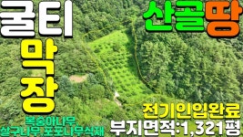 김천시지례면울곡리산골자연인땅매매#김천시산골자연인땅 - kakaoTV... 김천시지례면울곡리산골자연인땅매매#김천시산골자연인땅