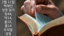 2월 11일 맥체인 성경 읽기/창세기 44, 마가복음 14, 욥기 10, 로마서 14/우리말 성경/일년 구약 - kakaoTV 2월 11일 맥체인 성경 읽기... 