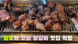 VLOG 로향양꼬치 서울대입구 봉천동 맛집 브이로그 ㅣ 달비치다 - kakaoTV VLOG 로향양꼬치 서울대입구 봉천동 맛집 브이로그 ㅣ 달비치다