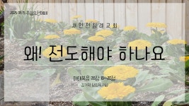 20250615(오전)_왜! 전도해야 하나요_마 28장 18~20절 - kakaoTV 20250615(오전)_왜! 전도해야 하나요_마 28장 18~20절