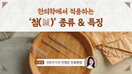 한의학에서 적용하는 ‘침(鍼)’ 종류 & 특징 - kakaoTV 한의학에서 적용하는 ‘침(鍼)’ 종류 & 특징