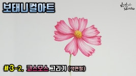 코스모스 꽃잎 그리기 (색연필 - 꽃그림 기초강좌) - kakaoTV [보태니컬아트] #3-2. 코스모스 꽃잎 그리기 (색연필 - 꽃그림 기초강좌)