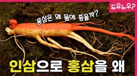 만들까 건강에 더 좋을까..｜인삼과 홍삼 이야기 - kakaoTV 만들까 건강에 더 좋을까..｜인삼과 홍삼 이야기