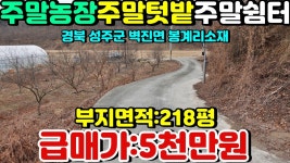 NO:1-515번#성주군땅.성주땅.성주군부동산.성주부동산.... 경북성주군벽진면봉계리주말농장용지매매 - kakaoTV NO:1-515번#성주군땅.성주땅.... 