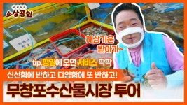 으랏차차 소상공인ㅣ신선함과 다양함에 반하다! 무창포수산물시장 - kakaoTV 으랏차차 소상공인ㅣ신선함과 다양함에 반하다! 무창포수산물시장