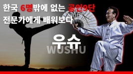 중국 전통무술 우슈👊 근데 그거 쎄냐? | 고수를 찾아서4 - kakaoTV 중국 전통무술 우슈👊 근데 그거 쎄냐? | 고수를 찾아서4