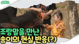 송이 조랑말이랑 만났어요! | 하하버스 | 화요일 저녁 8시 30분 🌟 - kakaoTV 송이 조랑말이랑 만났어요!  | 하하버스 | 화요일 저녁 8시 30분... 