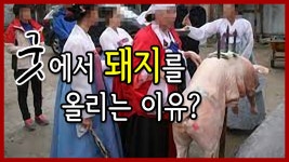 굿에서 돼지를 올리는 이유 서울용한 점집 선미보살 - kakaoTV 굿에서 돼지를 올리는 이유 서울용한 점집 선미보살