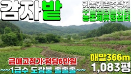 NO:1-1384번#김천시땅#김천땅#김천시부동산#김천부동산#김천시증산면동안리귀농귀촌주택용지매매#김천시증산면동 - kakaoTV NO:1-1384번... 