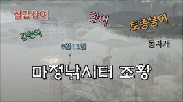 마정낚시터 8월 13일 조황 - kakaoTV 마정낚시터 8월 13일 조황